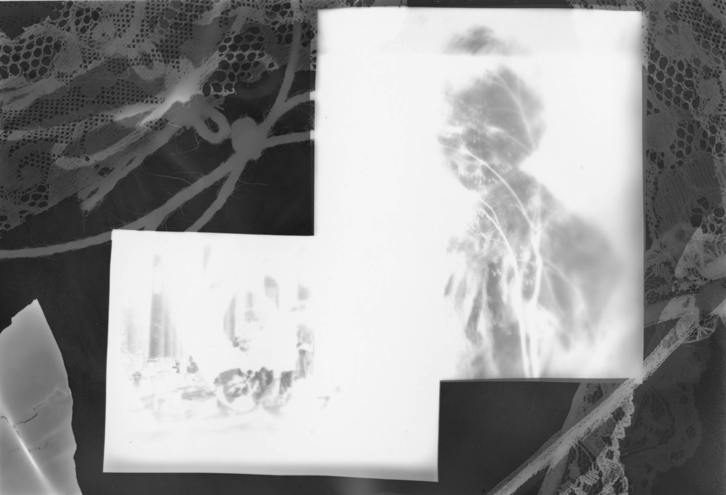 Black and white silver gelatin photogram of a transparent magazine image of a boy, with branches of trees seen through him. White silhouettes from leaves, lace, and thread surround the image.