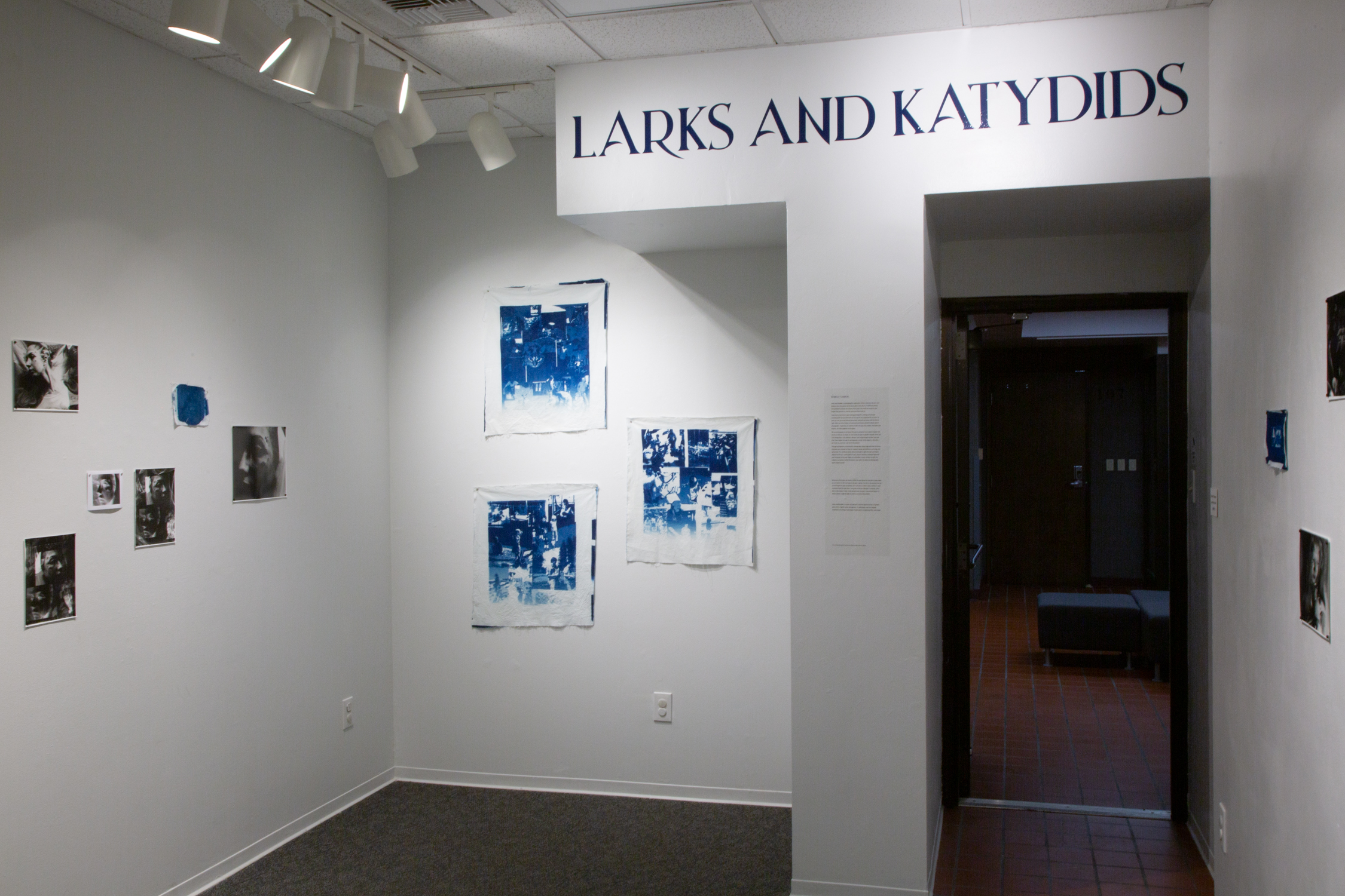 Installation view of Larks and Katydids Exhibition